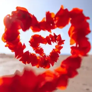 Alchimie énergétique pour développer l’Amour de Soi