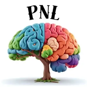 Programmation neurolinguistique (PNL)
