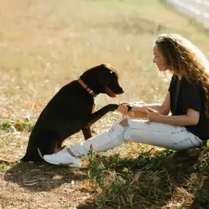 Communication animale intuitive