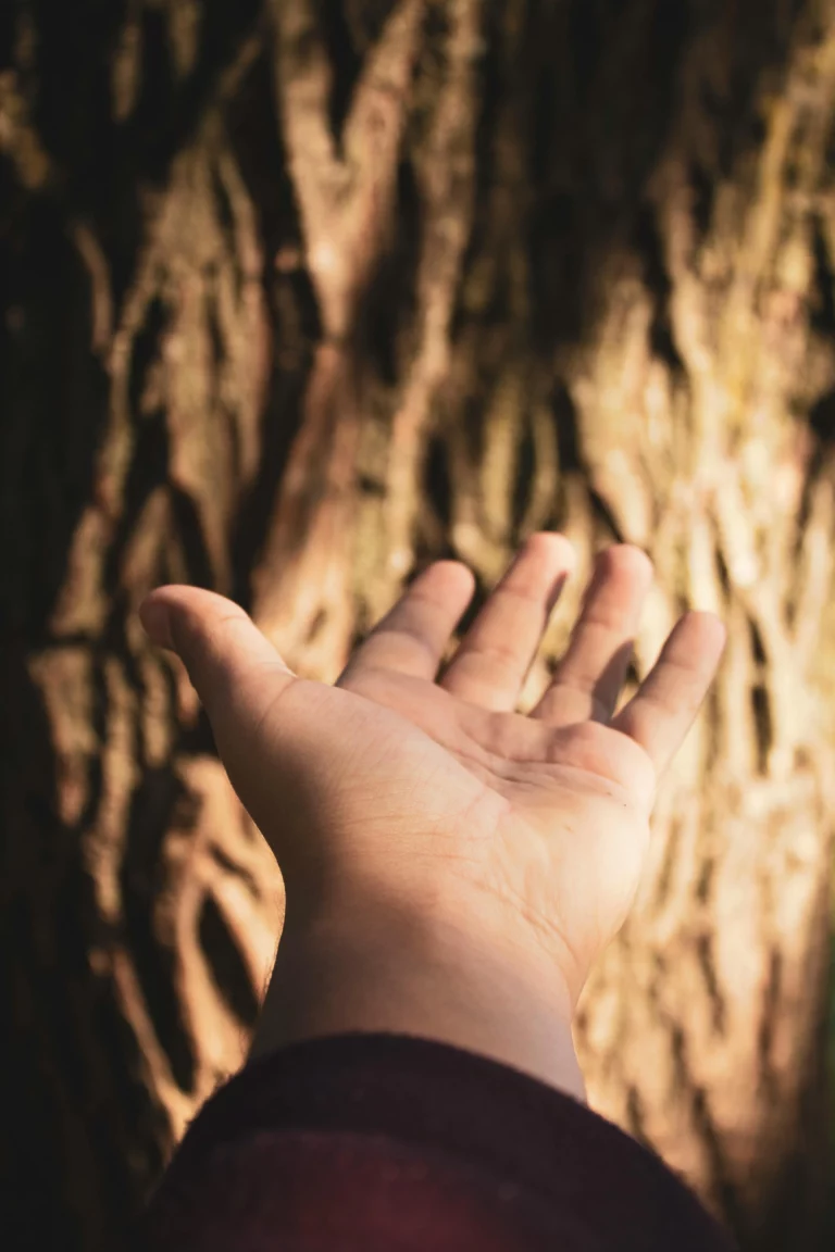 Magnétisme-chromharmonie